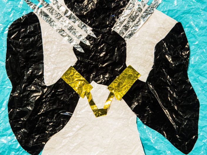 the only wolverine to be caught